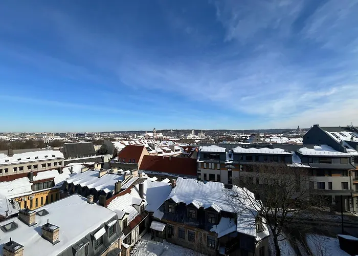 Апартаменты In The Old Town With An Impressive View Вильнюс